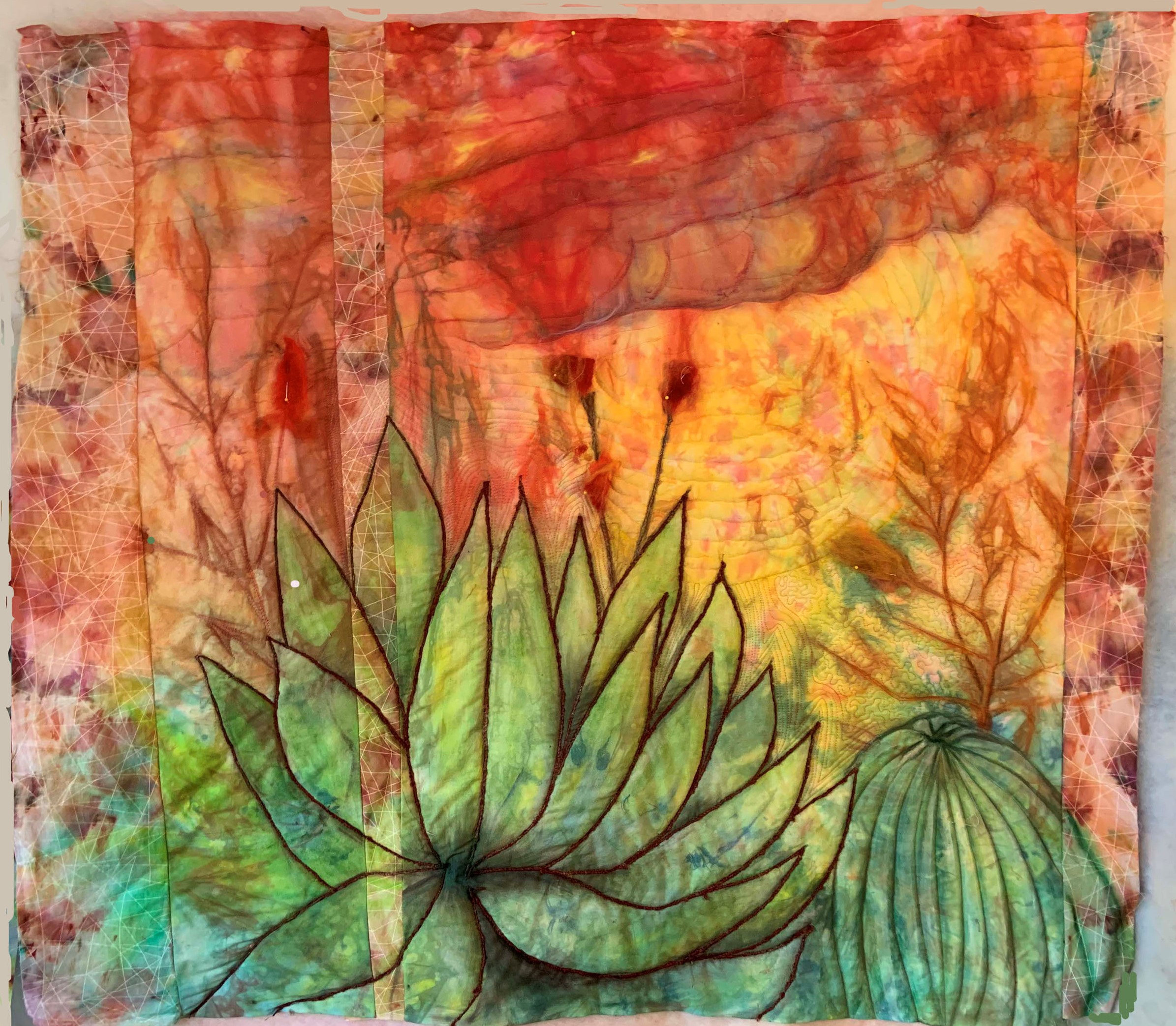 Agave Sunset
